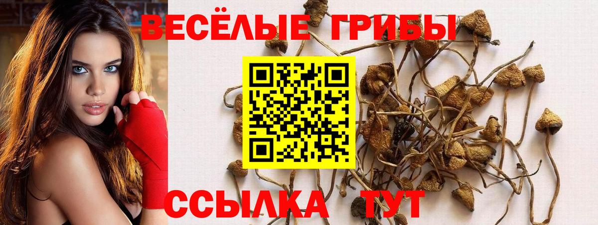 Галлюциногенные грибы прущие грибы Черногорск