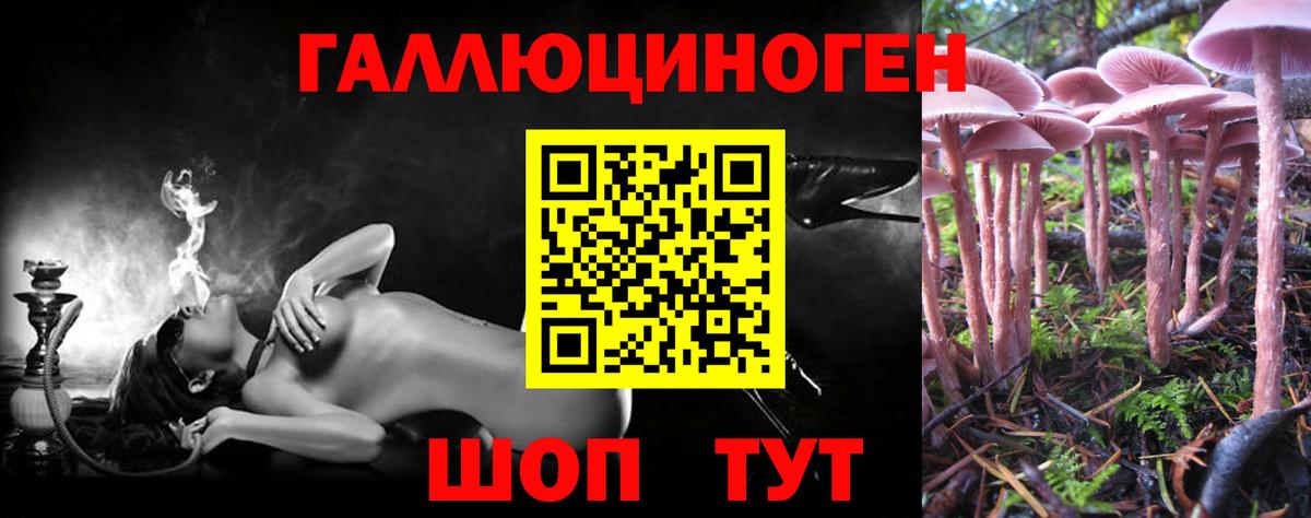 Черногорск  Псилоцибиновые грибы GOLDEN TEACHER  Вход с VPN 